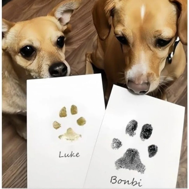 Safe Non-toxic Baby Footprints - огляд і ціна Footprint Ink Kit